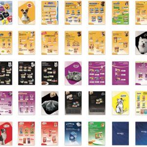 Paginas