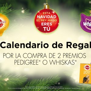 A2 Calendario Mixto