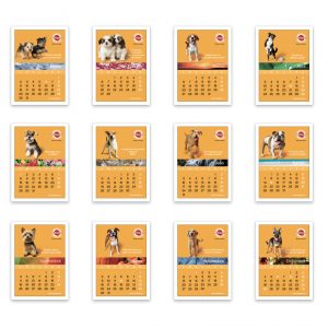 Calendar-Pedigree