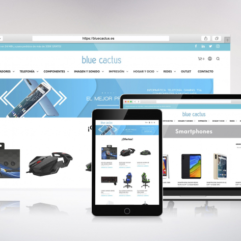 bluecactus-mockup-scaled