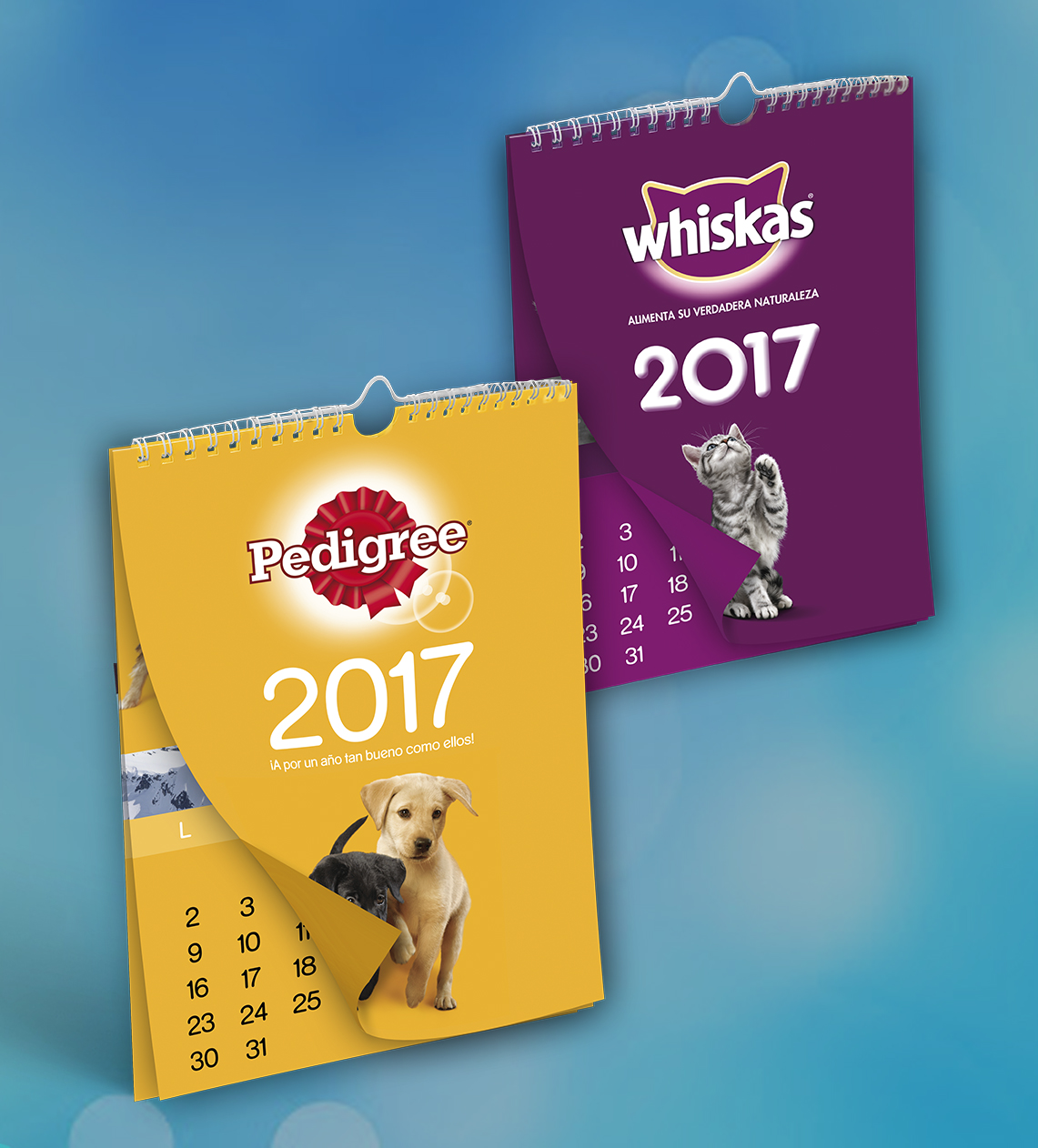 calendarios