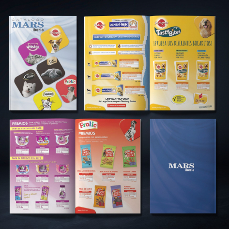 mockup-catalogo-scaled