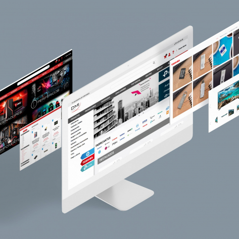 mockup-dmi-scaled